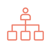 Organisation